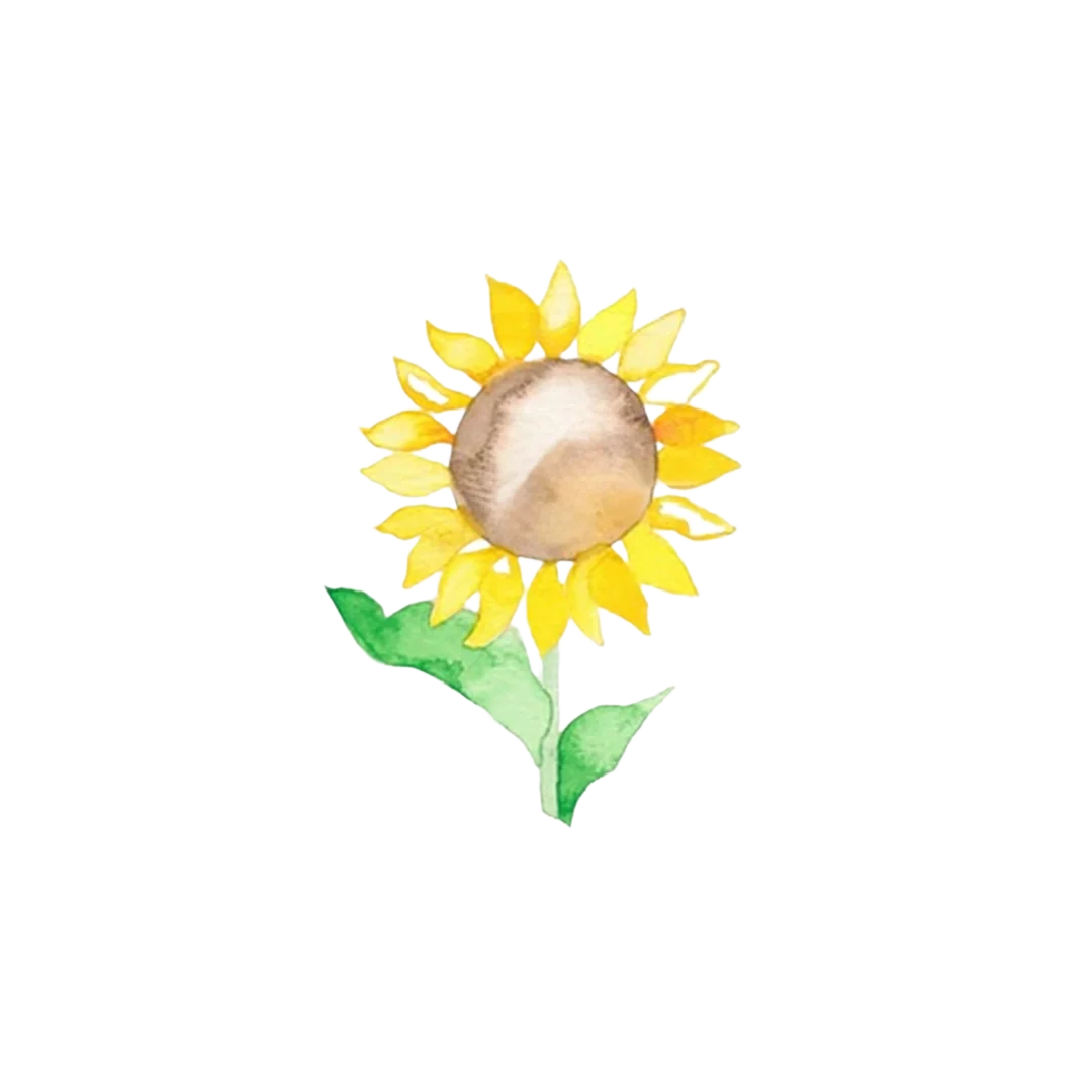 盛夏