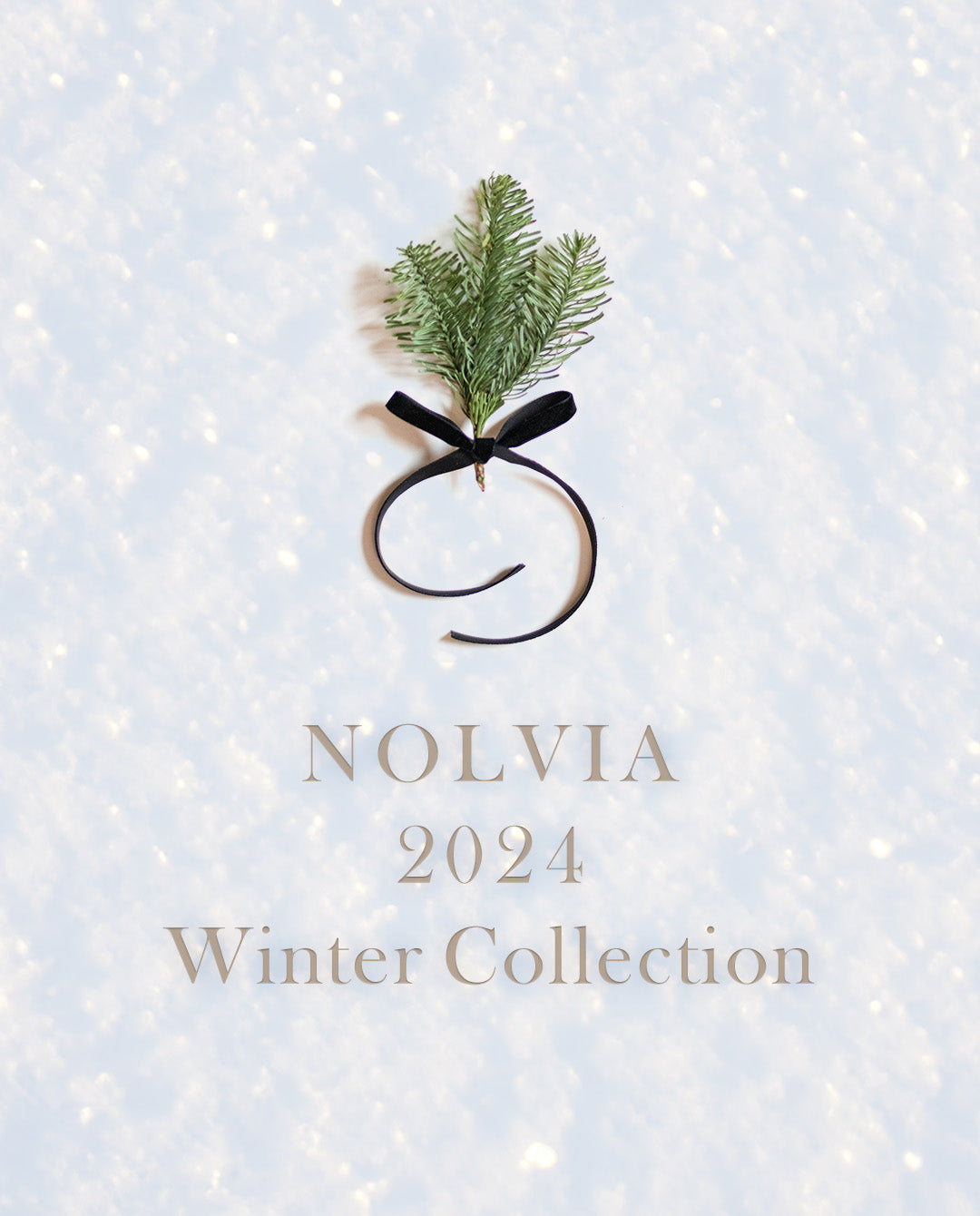 2024 Winterコレクションのご案内