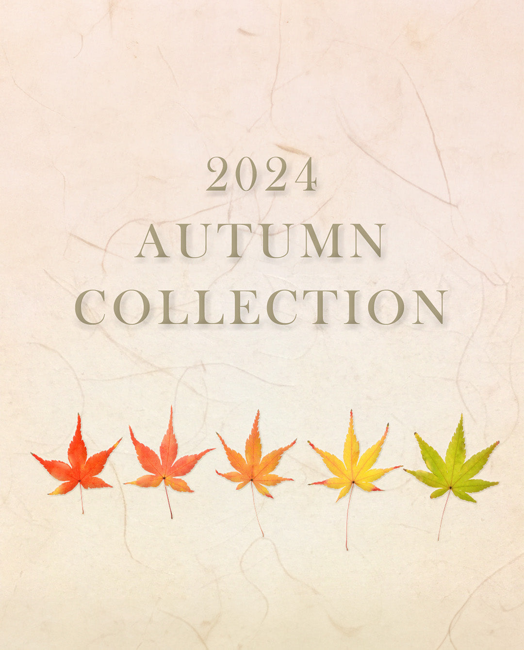 2024 Autumnコレクションのご案内